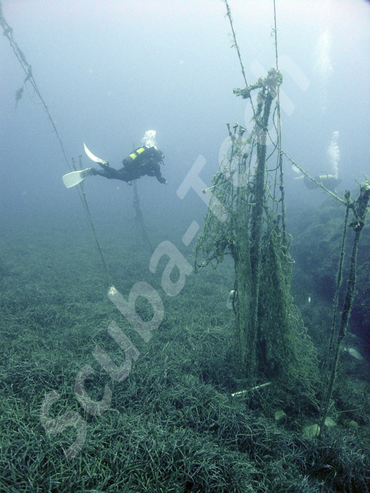 scuba divers by the abandoned nets at the Chapel Dive Site